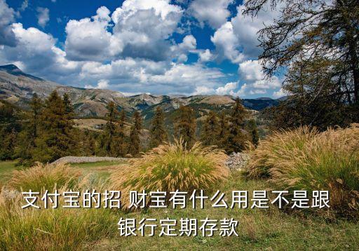 招財(cái)寶和銀行哪個(gè)安全