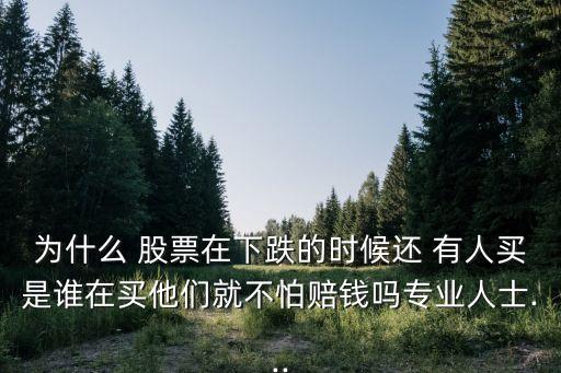 為什么 股票在下跌的時(shí)候還 有人買(mǎi)是誰(shuí)在買(mǎi)他們就不怕賠錢(qián)嗎專(zhuān)業(yè)人士...