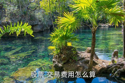  股票 交易費(fèi)用怎么算