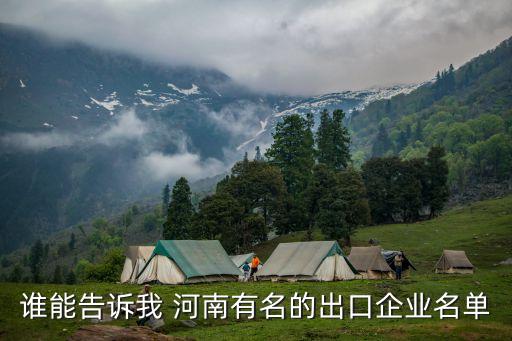 中國河南國際合作集團(tuán)有限公司年報(bào),威海市聯(lián)橋國際合作集團(tuán)有限公司