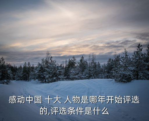 感動中國 十大 人物是哪年開始評選的,評選條件是什么