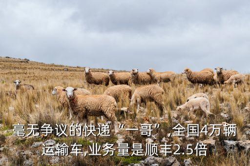 中國民營物流