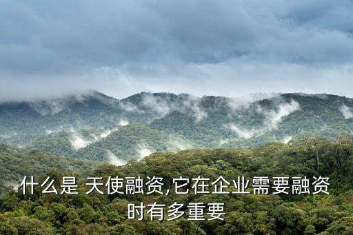 什么是 天使融資,它在企業(yè)需要融資時(shí)有多重要