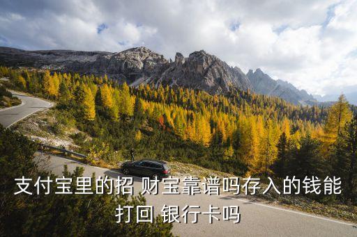 支付寶里的招 財(cái)寶靠譜嗎存入的錢(qián)能打回 銀行卡嗎