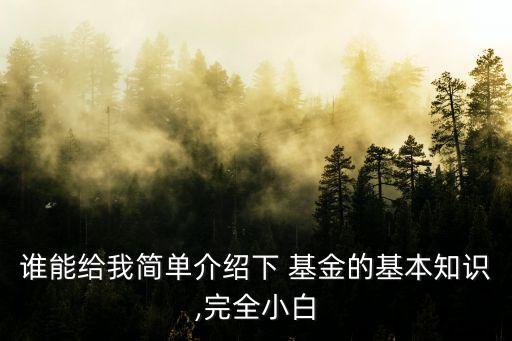 誰(shuí)能給我簡(jiǎn)單介紹下 基金的基本知識(shí),完全小白
