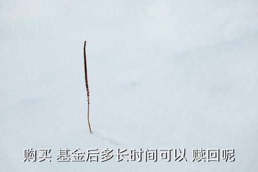封閉式基金贖回期限,買(mǎi)了封閉式基金強(qiáng)制贖回