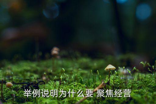 舉例說明為什么要 聚焦經(jīng)營