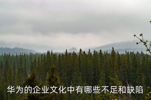 華為的企業(yè)文化中有哪些不足和缺陷