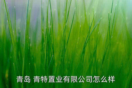 青島 青特置業(yè)有限公司怎么樣