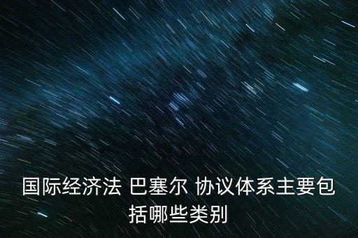 國(guó)際經(jīng)濟(jì)法 巴塞爾 協(xié)議體系主要包括哪些類別
