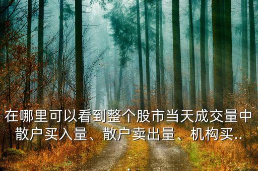 在哪里可以看到整個股市當天成交量中散戶買入量、散戶賣出量、機構(gòu)買...