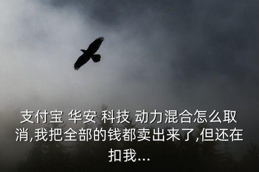 天天基金網(wǎng)華安科技動(dòng)力股的凈值