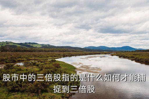 股市中的三倍股指的是什么如何才能捕捉到三倍股
