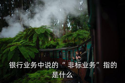  銀行業(yè)務(wù)中說(shuō)的“ 非標(biāo)業(yè)務(wù)”指的是什么