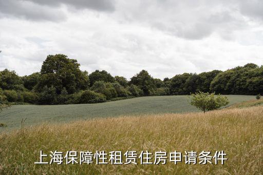 上海保障性租賃住房申請(qǐng)條件