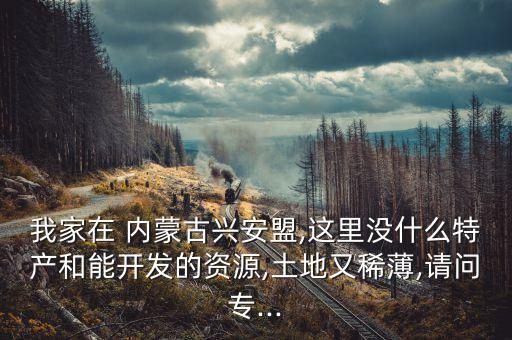 我家在 內蒙古興安盟,這里沒什么特產和能開發(fā)的資源,土地又稀薄,請問專...