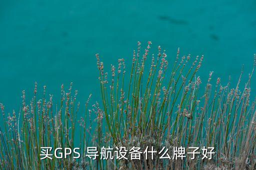 買(mǎi)GPS 導(dǎo)航設(shè)備什么牌子好