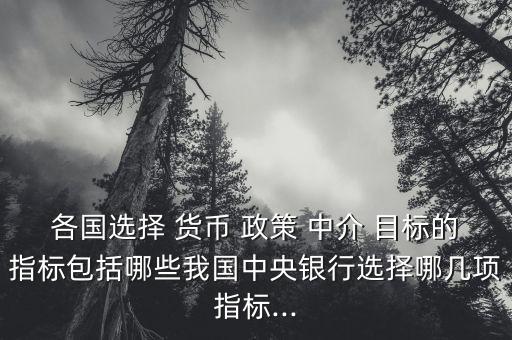 中國貨幣政策中介目標(biāo),貨幣政策中介目標(biāo)和操作目標(biāo)的選擇標(biāo)準(zhǔn)不包括