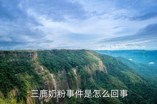  三鹿奶粉事件是怎么回事