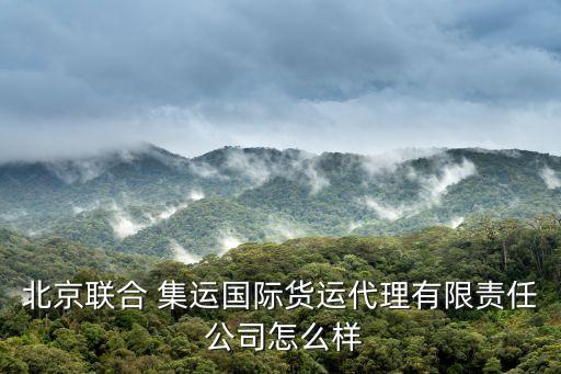 北京聯(lián)合 集運國際貨運代理有限責任 公司怎么樣