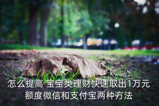 怎么提高 寶寶類理財(cái)快速取出1萬元額度微信和支付寶兩種方法