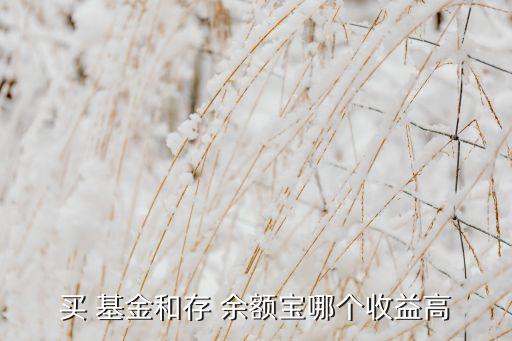 貨幣基金跟余額寶哪個(gè)好,余額寶里面的貨幣基金哪個(gè)更安全