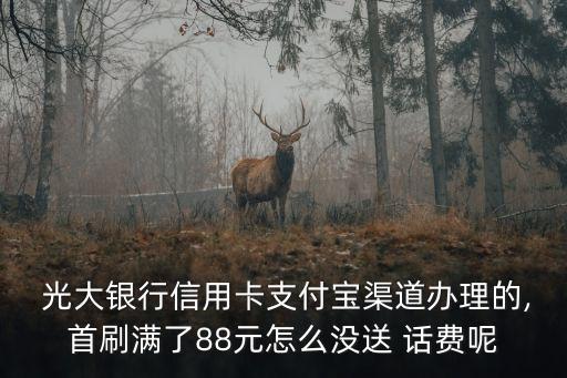  光大銀行信用卡支付寶渠道辦理的,首刷滿(mǎn)了88元怎么沒(méi)送 話費(fèi)呢