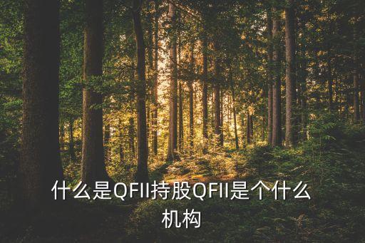 什么是QFII持股QFII是個什么機構