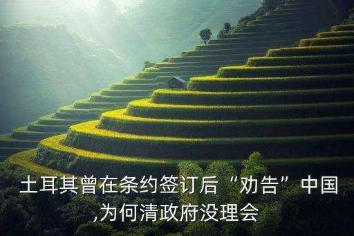  土耳其曾在條約簽訂后“勸告”中國,為何清政府沒理會