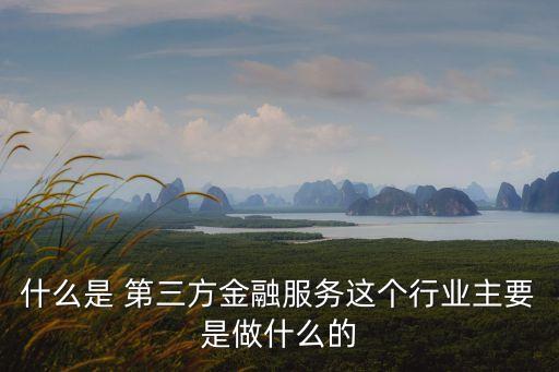 什么是 第三方金融服務(wù)這個行業(yè)主要是做什么的