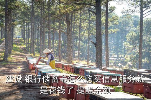 建設(shè) 銀行儲蓄卡怎么購買信息服務(wù)就是花錢了 提醒余額