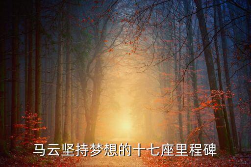 中國(guó)阿里巴巴收購雅虎過程,阿里巴巴收購雅虎帶來的好處