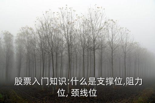  股票入門(mén)知識(shí):什么是支撐位,阻力位, 頸線位
