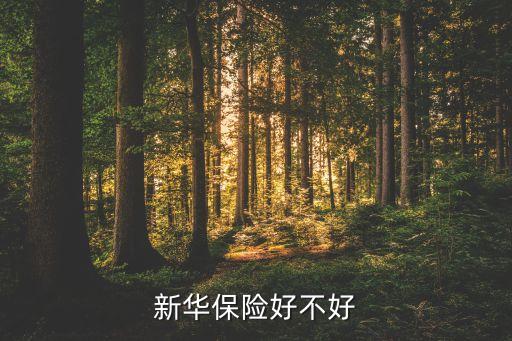 保險公司聲譽(yù)
