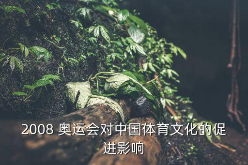 2008 奧運(yùn)會(huì)對(duì)中國(guó)體育文化的促進(jìn)影響