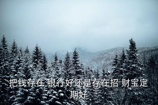 把錢(qián)存在 銀行好還是存在招 財(cái)寶定期好