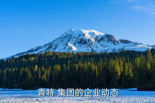  青特 集團(tuán)的企業(yè)動態(tài)