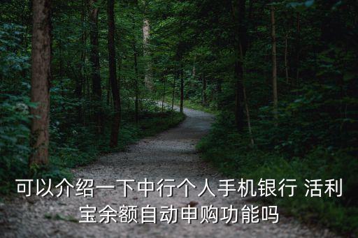 可以介紹一下中行個人手機(jī)銀行 活利寶余額自動申購功能嗎