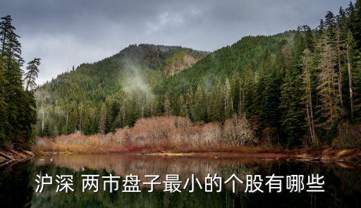 滬深 兩市盤子最小的個股有哪些