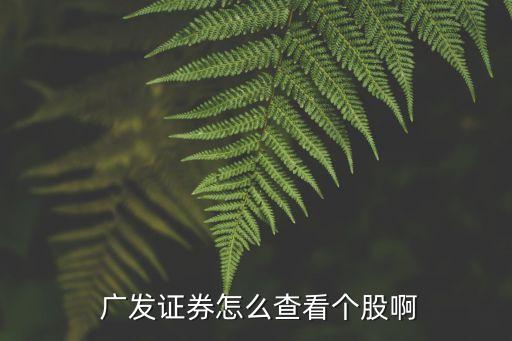  廣發(fā)證券怎么查看個(gè)股啊