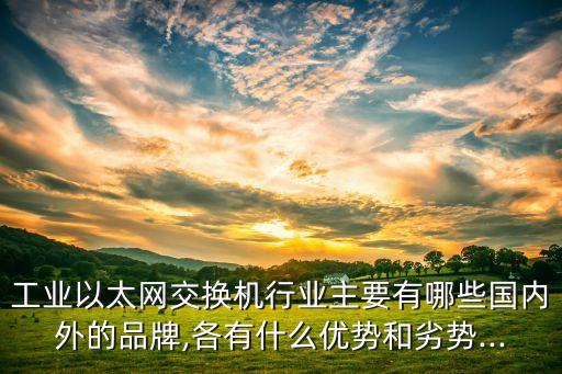工業(yè)以太網(wǎng)交換機行業(yè)主要有哪些國內外的品牌,各有什么優(yōu)勢和劣勢...