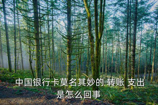 中國銀行顯示轉(zhuǎn)賬支出空白
