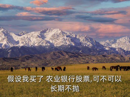 假設我買了 農(nóng)業(yè)銀行股票,可不可以長期不拋