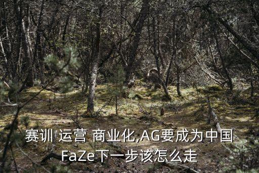 賽訓(xùn) 運(yùn)營(yíng) 商業(yè)化,AG要成為中國(guó)FaZe下一步該怎么走