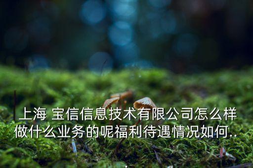  上海 寶信信息技術(shù)有限公司怎么樣做什么業(yè)務(wù)的呢福利待遇情況如何...