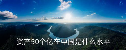  資產(chǎn)50個(gè)億在中國(guó)是什么水平