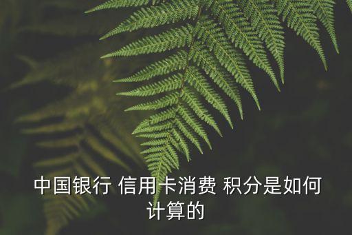 中國(guó)銀行信用卡1元兌換多少積分