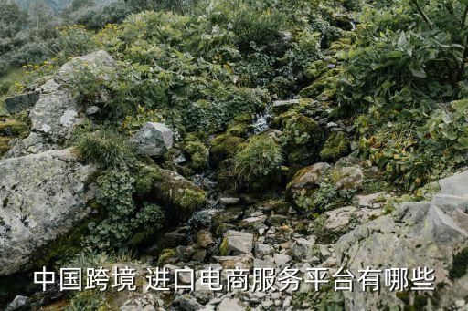 速賣通把西進(jìn)口中國什么