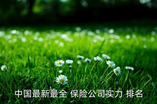 中國(guó)最新最全 保險(xiǎn)公司實(shí)力 排名