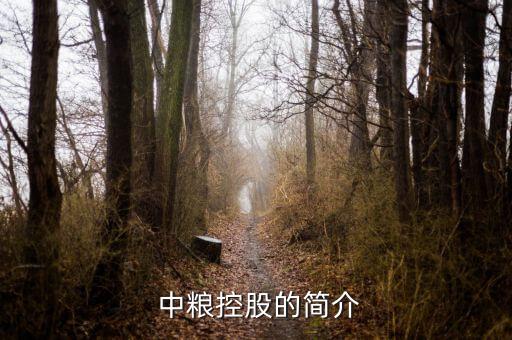  中糧控股的簡(jiǎn)介